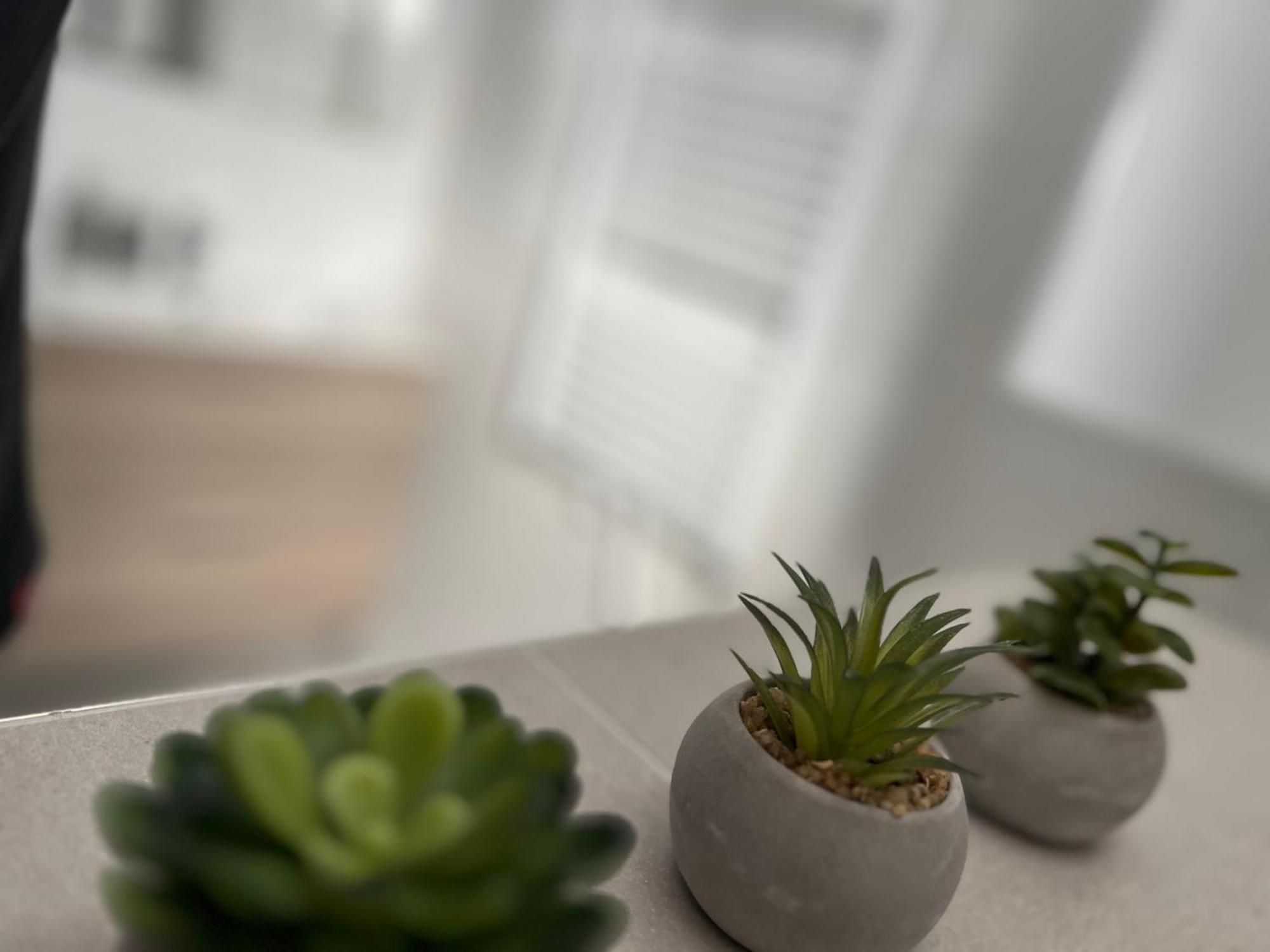 Apartmany Catalina Nesvady Εξωτερικό φωτογραφία